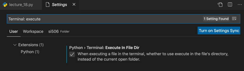 VS Code Execute in File Dir setting